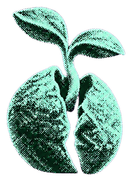 HyperSeed